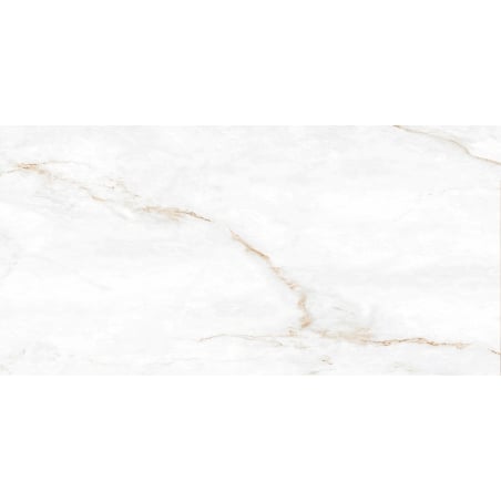 Mexen Brakel Échantillon blanc de grès émaillé rectifié. G1, carreau sol-mur, brillant - TL110-01-S