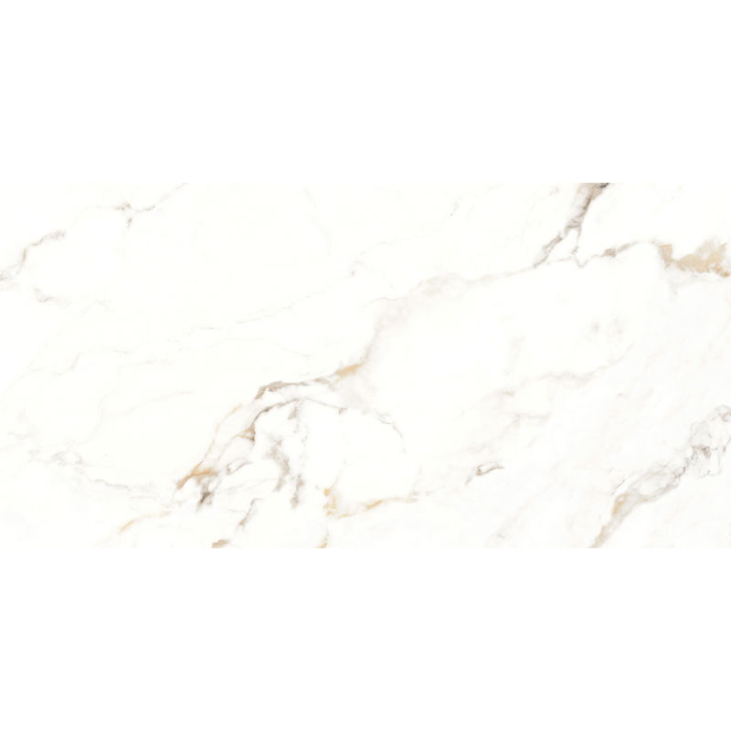 Mexen Scordia Échantillon gris de grès émaillé rect. G1, carreau de sol et mural 120 x 60 cm, brillant - TL125-00-S