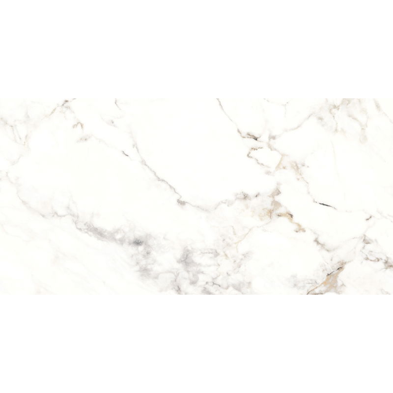 Mexen Scordia Échantillon gris de grès émaillé rect. G1, carreau de sol et mural 120 x 60 cm, brillant - TL125-00-S