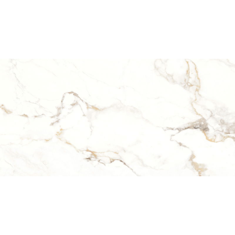 Mexen Scordia Échantillon gris de grès émaillé rect. G1, carreau de sol et mural 120 x 60 cm, brillant - TL125-00-S