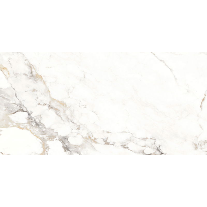 Mexen Scordia Échantillon gris de grès émaillé rect. G1, carreau de sol et mural 120 x 60 cm, brillant - TL125-00-S