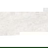 Mexen Iconic Bianco échantillon de grès émaillé rectifié. G1, carreau mural et de sol 120 x 60 cm, brillant - TL128-00-S