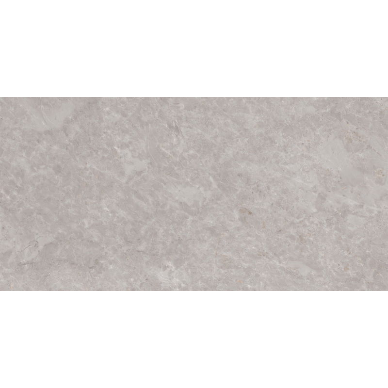 Mexen Qortecia Échantillon gris de grès émaillé rectifié G1, carreau de sol et de mur 120 x 60 cm, brillant - TL129-01-S