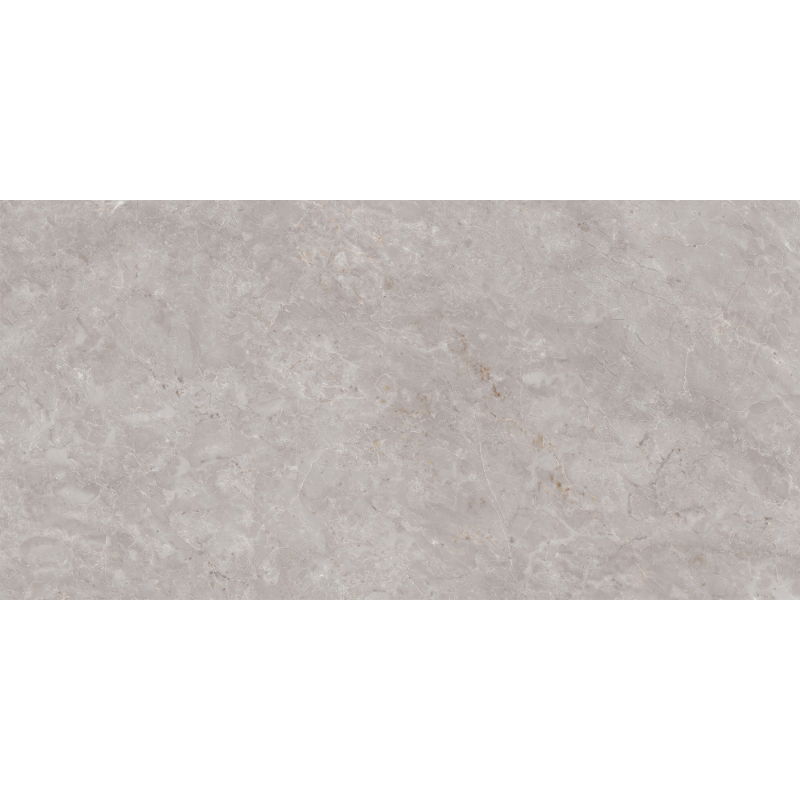 Mexen Qortecia Échantillon gris de grès émaillé rectifié G1, carreau de sol et de mur 120 x 60 cm, brillant - TL129-01-S