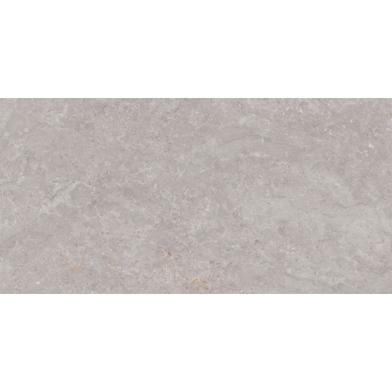 Mexen Qortecia Échantillon gris de grès émaillé rectifié G1, carreau de sol et de mur 120 x 60 cm, brillant - TL129-01-S