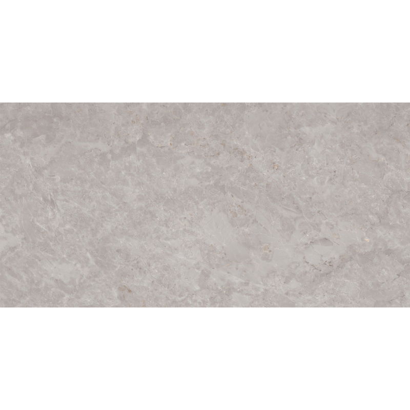 Mexen Qortecia Échantillon gris de grès émaillé rectifié G1, carreau de sol et de mur 120 x 60 cm, brillant - TL129-01-S