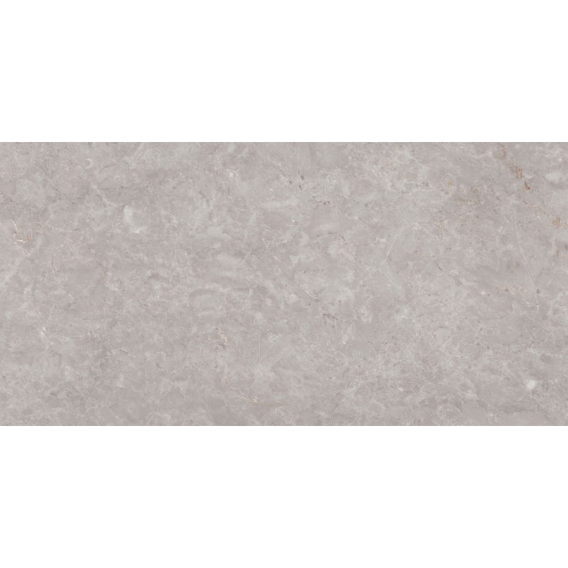 Mexen Qortecia Échantillon gris de grès émaillé rectifié G1, carreau de sol et de mur 120 x 60 cm, brillant - TL129-01-S
