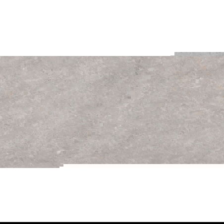 Mexen Qortecia Échantillon gris de grès émaillé rectifié G1, carreau de sol et de mur 120 x 60 cm, brillant - TL129-01-S