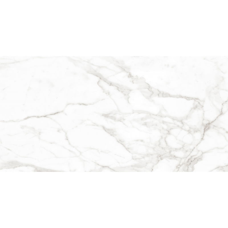 Mexen Faro Échantillon de carreau de grès cérame émaillé rectifié gris. Carreau sol-mur 120 x 60 cm, brillant - TL138-00-S