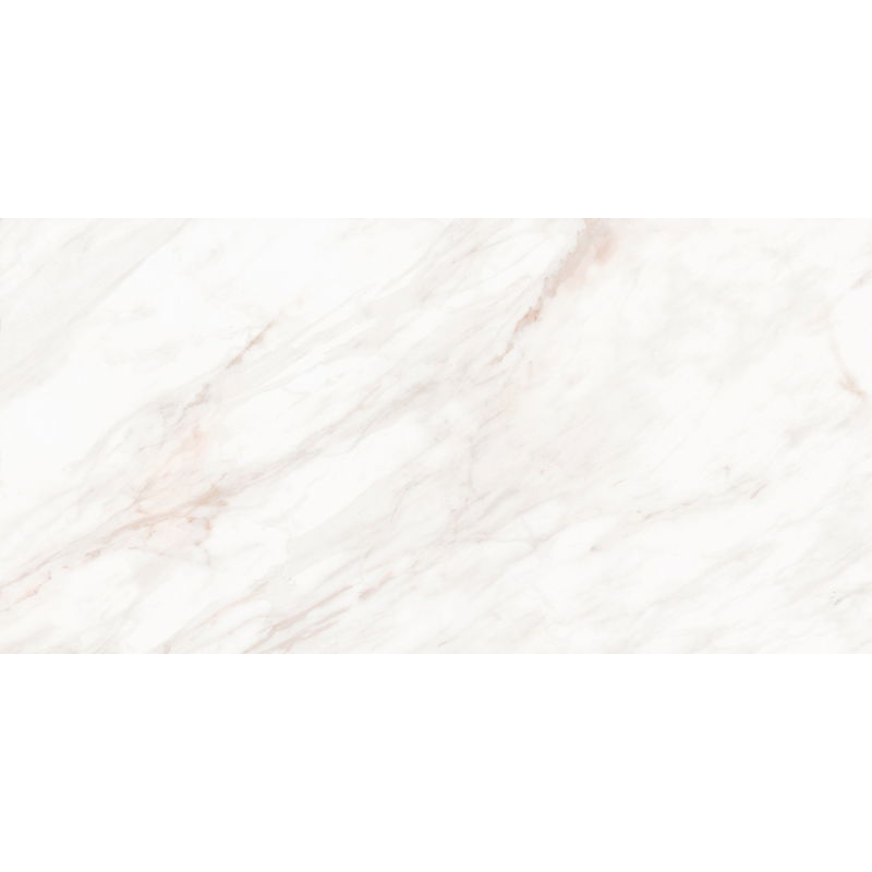 Mexen Forever Próbka grès émaillé rectifié gris G1, carreau sol-mur 120 x 60 cm, brillant - TL139-00-S