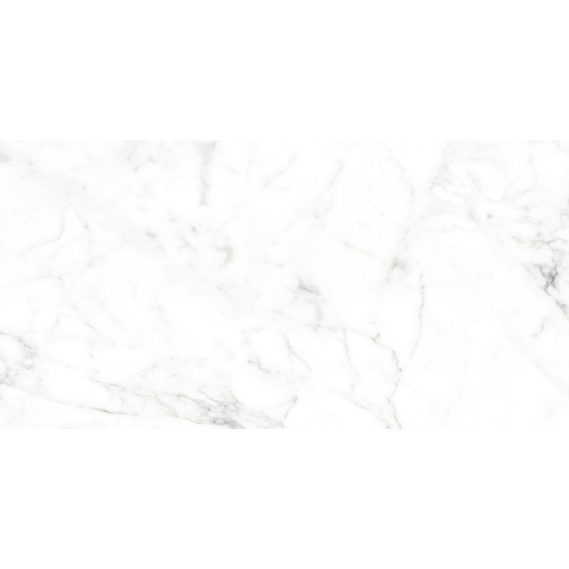 Mexen Smogy Gris échantillon de grès émaillé rectifié. G1, carreau de sol et mural 120 x 60 cm, brillant - TL140-01-S