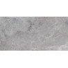Mexen Tens Échantillon gris de grès émaillé rectifié. G1, carreau de sol et mur, brillant - TL148-01-S