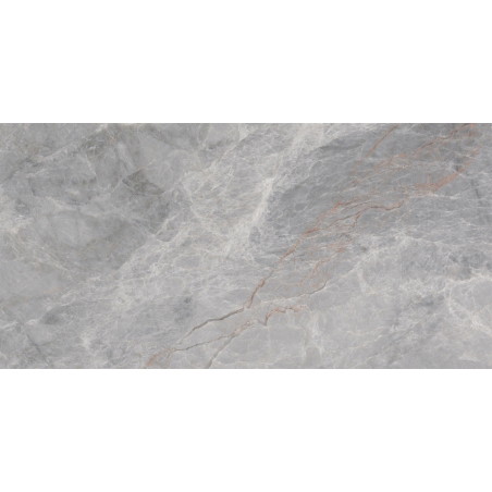 Mexen Tens Échantillon gris de grès émaillé rectifié. G1, carreau de sol et mur, brillant - TL148-01-S