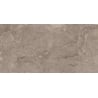 Mexen Arbour Échantillon taupe de grès émaillé rectifié G1, carreau de sol et mural, brillant - TL158-01-S