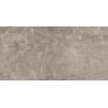 Mexen Arbour Échantillon taupe de grès émaillé rectifié G1, carreau de sol et mural, brillant - TL158-01-S