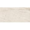 Mexen Krypton Échantillon beige de grès cérame émaillé rectifié. Carrelage sol-mur, brillant - TL170-00-S