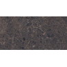 Mexen Slik Emperador Échantillon brun de grès cérame émaillé rectifié G1, carreau sol-mur, haute brillance - TL207-00-S
