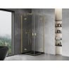Mexen Mist-H Duo cabine de douche pivotante 110 x 110 cm, transparent, or brossé - 8A5-110L-110P-55-00