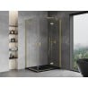 Mexen Mist-H Duo cabine de douche pivotante droite 80 x 100 cm, transparent, or brossé - 8A5-080L-100P-55-00