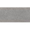Mexen Semars Échantillon gris de grès émaillé rectifié G1, carreau de sol et mural, mat - TL305-00-S