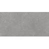 Mexen Semars Échantillon gris de grès émaillé rectifié G1, carreau de sol et mural, mat - TL305-00-S