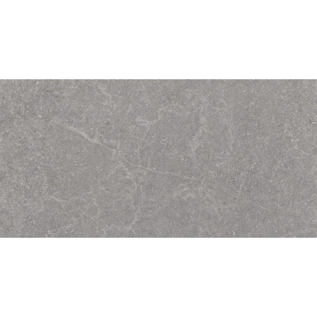 Mexen Semars Échantillon gris de grès émaillé rectifié G1, carreau de sol et mural, mat - TL305-00-S