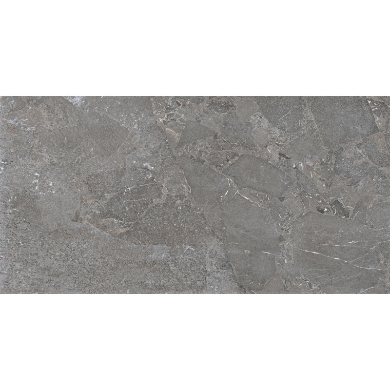 Mexen Terralite Échantillon gris de carrelage en grès émaillé rectifié G1, carreau sol-mur 120 x 60 cm, mat - TL306-05-S