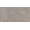 Mexen District Gris échantillon de grès émaillé rectifié G1, carreau sol-mur, mat - TL308-02-S