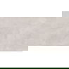 Mexen District Échantillon argenté de grès cérame émaillé rectifié. G1, carreau sol-mur 120 x 60 cm, mat - TL308-04-S