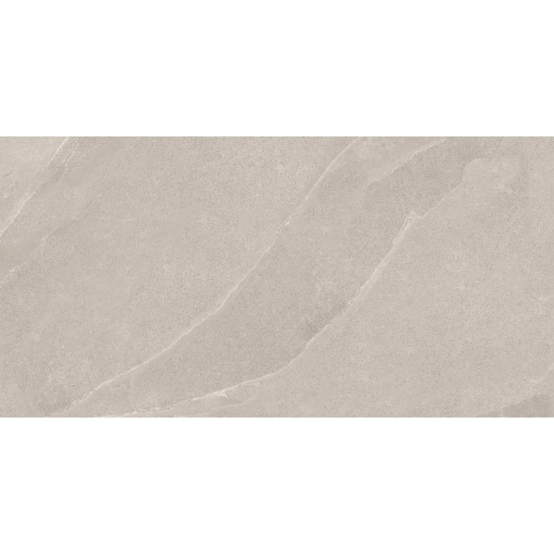 Mexen Aryan Échantillon argent de grès émaillé rectifié. G1, carreau sol-mur, mat - TL310-05-S