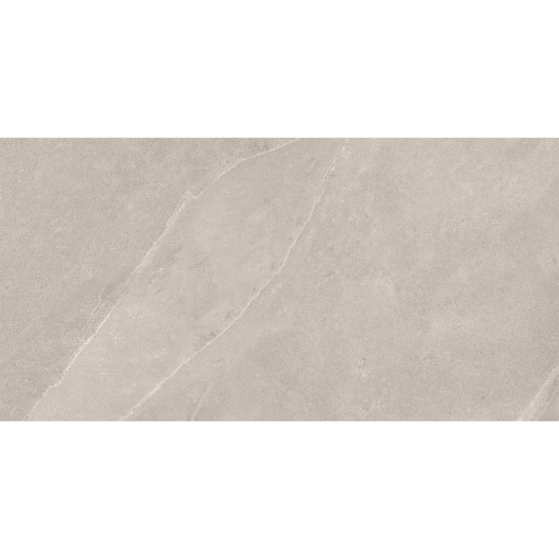 Mexen Aryan Échantillon argent de grès émaillé rectifié. G1, carreau sol-mur, mat - TL310-05-S
