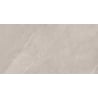 Mexen Aryan Échantillon argent de grès émaillé rectifié. G1, carreau sol-mur, mat - TL310-05-S