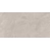 Mexen Aryan Échantillon argent de grès émaillé rectifié. G1, carreau sol-mur, mat - TL310-05-S