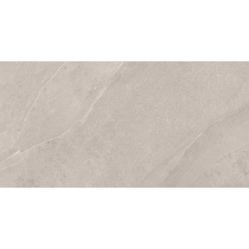 Mexen Aryan Échantillon argent de grès émaillé rectifié. G1, carreau sol-mur, mat - TL310-05-S