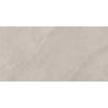 Mexen Aryan Échantillon argent de grès émaillé rectifié. G1, carreau sol-mur, mat - TL310-05-S