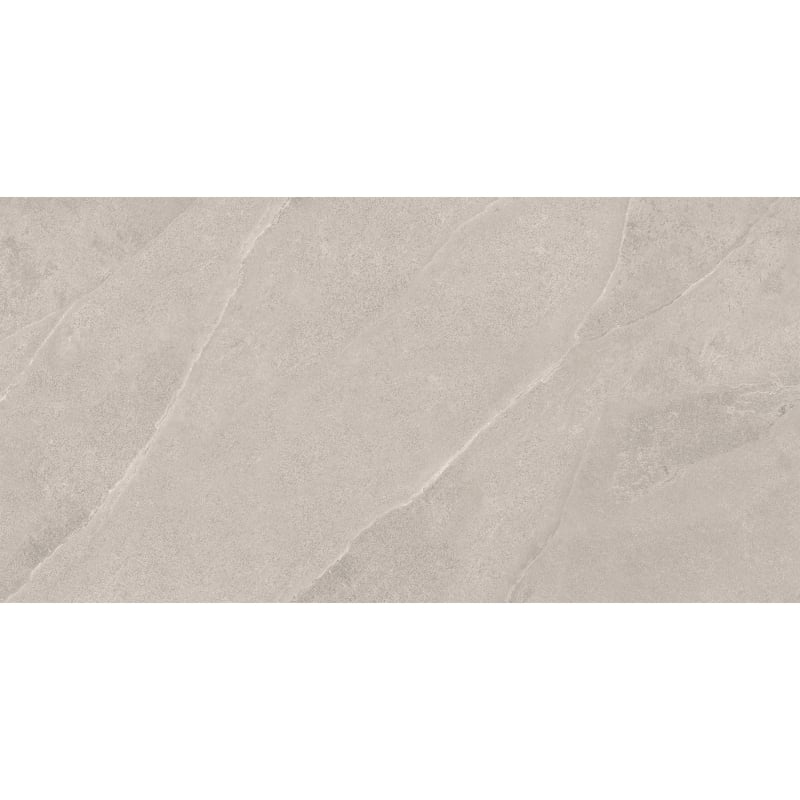 Mexen Aryan Échantillon argent de grès émaillé rectifié. G1, carreau sol-mur, mat - TL310-05-S