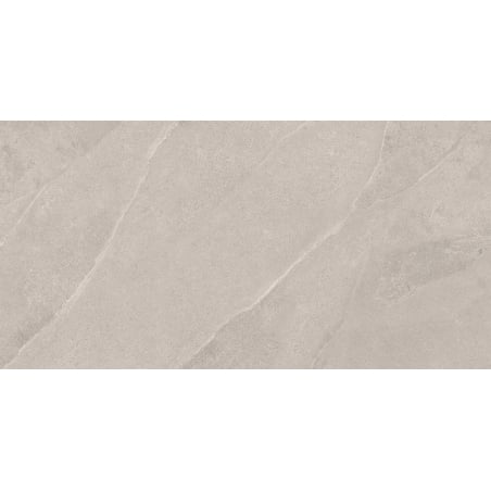 Mexen Aryan Échantillon argent de grès émaillé rectifié. G1, carreau sol-mur, mat - TL310-05-S