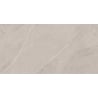 Mexen Aryan Échantillon argent de grès émaillé rectifié. G1, carreau sol-mur, mat - TL310-05-S