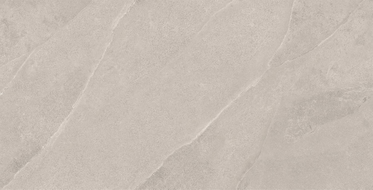 Mexen Aryan Échantillon argent de grès émaillé rectifié. G1, carreau sol-mur, mat - TL310-05-S