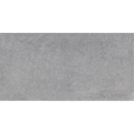 Mexen Rock Échantillon de grès émaillé gris rect. G1, carreau de sol et mural, mat - TL317-03-S