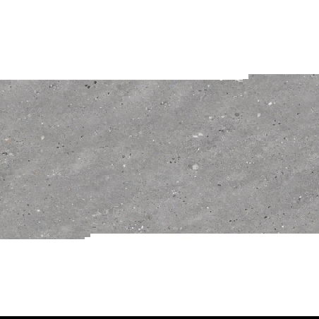 Mexen Flakes Échantillon gris de grès émaillé rectifié G1, carreau sol-mur 120 x 60 cm, carving - TL411-00-S