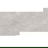 Mexen Evolution Échantillon de grès cérame émaillé rectifié gris clair, carreau sol-mur 120 x 60 cm, carving - TL437-03-S