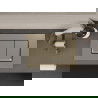 Bouton de chasse d'eau Mexen Fenix 10 XS, or champagne - 601004
