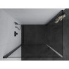 Mexen Pretoria Duo cabine de douche à charnières 80 x 70 cm, transparent, noir - 852-080-070-70-00-02