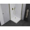 Mexen Pretoria Duo cabine de douche pivotante 70 x 70 cm, transparente, or + receveur plat - 852-070-070-50-02-4010G