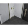 Mexen Pretoria Duo paroi de douche pivotante 100 x 90 cm, transparent, or - 852-100-090-50-00-02