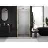Mexen Exo portes de douche à double battant 110 cm, transparentes, dorées - 814-110-000-50-00