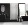 Mexen Exo-BR Duo portes de douche doubles pivotantes 120 cm, transparentes, dorées - 8182-120-000-50-00