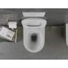 Mexen Lena cuvette WC Rimless avec abattant à descente lente slim, duroplast, blanc/or motif écailles - 30224008