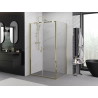 Mexen Exo-B Duo cabine de douche pivotante 80 x 110 cm, transparente, dorée - 814-080-110-50-00